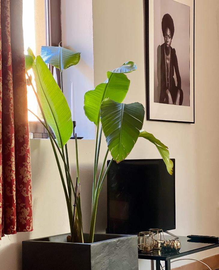 Novi Ligure Private Apartment Εξωτερικό φωτογραφία