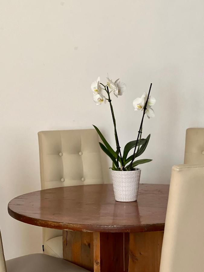 Novi Ligure Private Apartment Εξωτερικό φωτογραφία